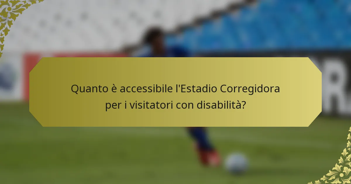 Quanto è accessibile l'Estadio Corregidora per i visitatori con disabilità?